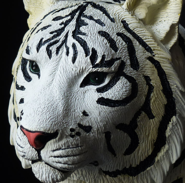 tundra the white tiger